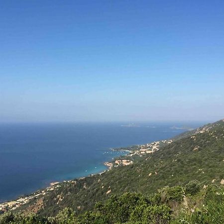 Ajaccio Magnifique T2 Neuf 40M2 Avec Balcon Au Trottel 4 Couchages Wifi Clim Parking Plage A Pieds 100M מראה חיצוני תמונה