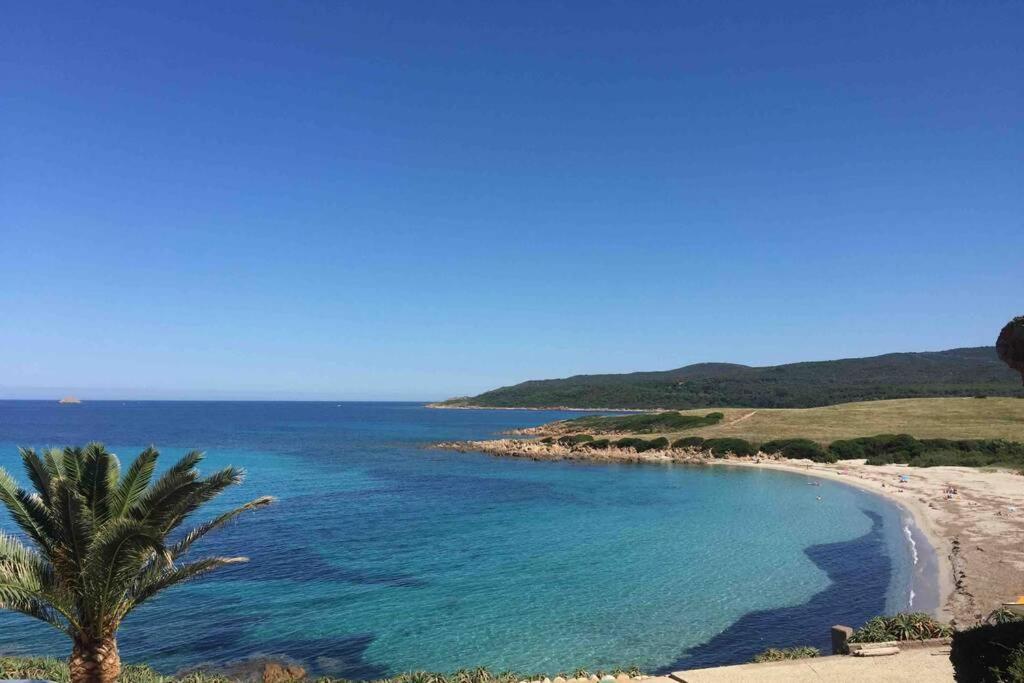 Ajaccio Magnifique T2 Neuf 40M2 Avec Balcon Au Trottel 4 Couchages Wifi Clim Parking Plage A Pieds 100M מראה חיצוני תמונה