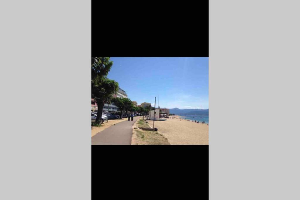 Ajaccio Magnifique T2 Neuf 40M2 Avec Balcon Au Trottel 4 Couchages Wifi Clim Parking Plage A Pieds 100M מראה חיצוני תמונה