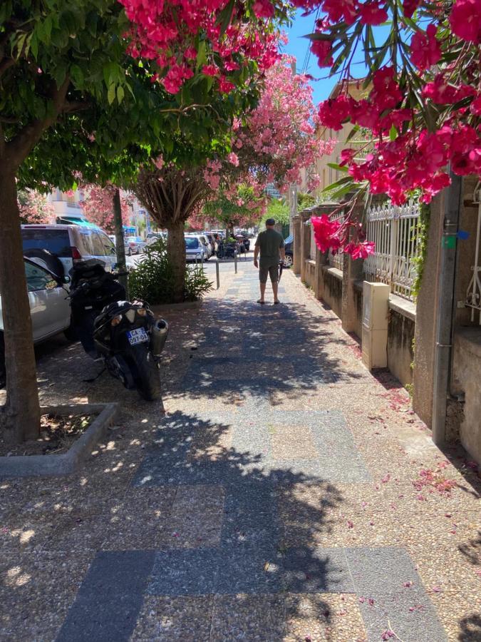 Ajaccio Magnifique T2 Neuf 40M2 Avec Balcon Au Trottel 4 Couchages Wifi Clim Parking Plage A Pieds 100M מראה חיצוני תמונה