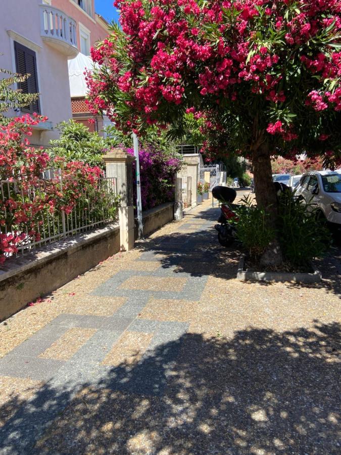 Ajaccio Magnifique T2 Neuf 40M2 Avec Balcon Au Trottel 4 Couchages Wifi Clim Parking Plage A Pieds 100M מראה חיצוני תמונה