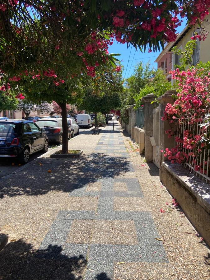 Ajaccio Magnifique T2 Neuf 40M2 Avec Balcon Au Trottel 4 Couchages Wifi Clim Parking Plage A Pieds 100M מראה חיצוני תמונה